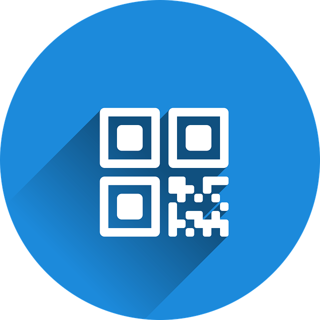 immagine qr